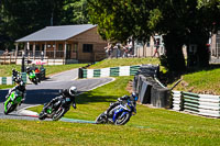 Lower Group Blue Bikes